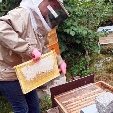 Productthumb regionalen honig aus brandenburg kaufen