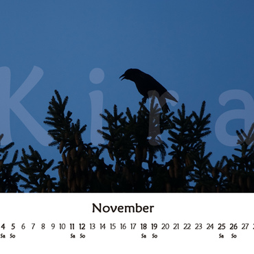 Productthumb kiras kalender 2023   vorschau 11 november