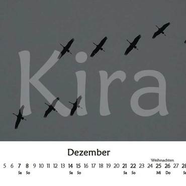 Productthumb dezember