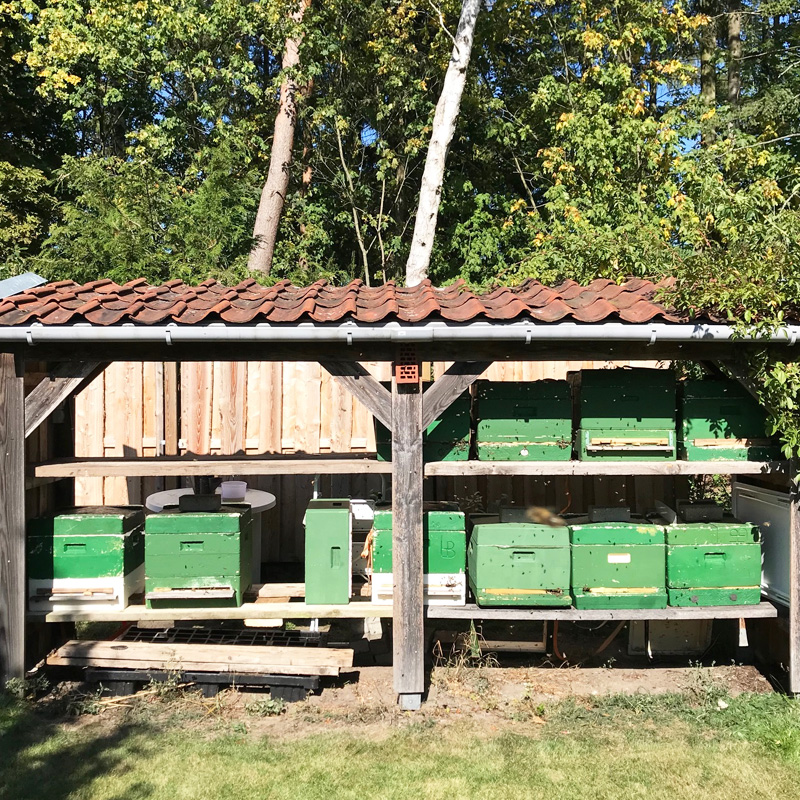 Bienenpatenschaft beim imker in niedersachsen